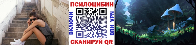 Псилоцибиновые грибы Psilocybe  blacksprut ссылки  Заозёрск 